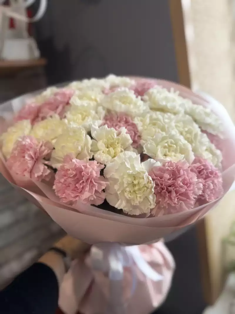 Букет из 35 диантусов белого и розового цвета